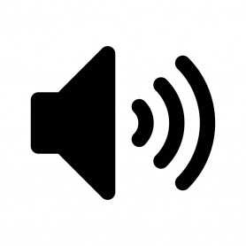 Haut-Parleur Samsung Galaxy A21S (A217)