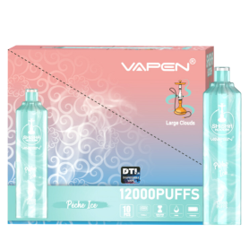 Vapoteuse Rechargeable Type-C SHISHA Hookah 12000 Puffs Pêche Glacée Sans Nicotine